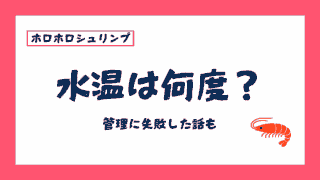 ホロホロシュリンプの水温は何度がいいの？管理に失敗した話も