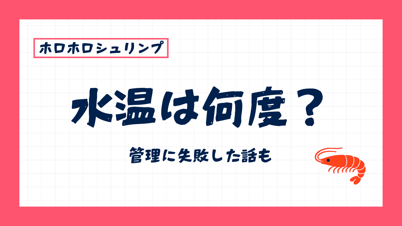 ホロホロシュリンプの水温は何度がいい？失敗談も