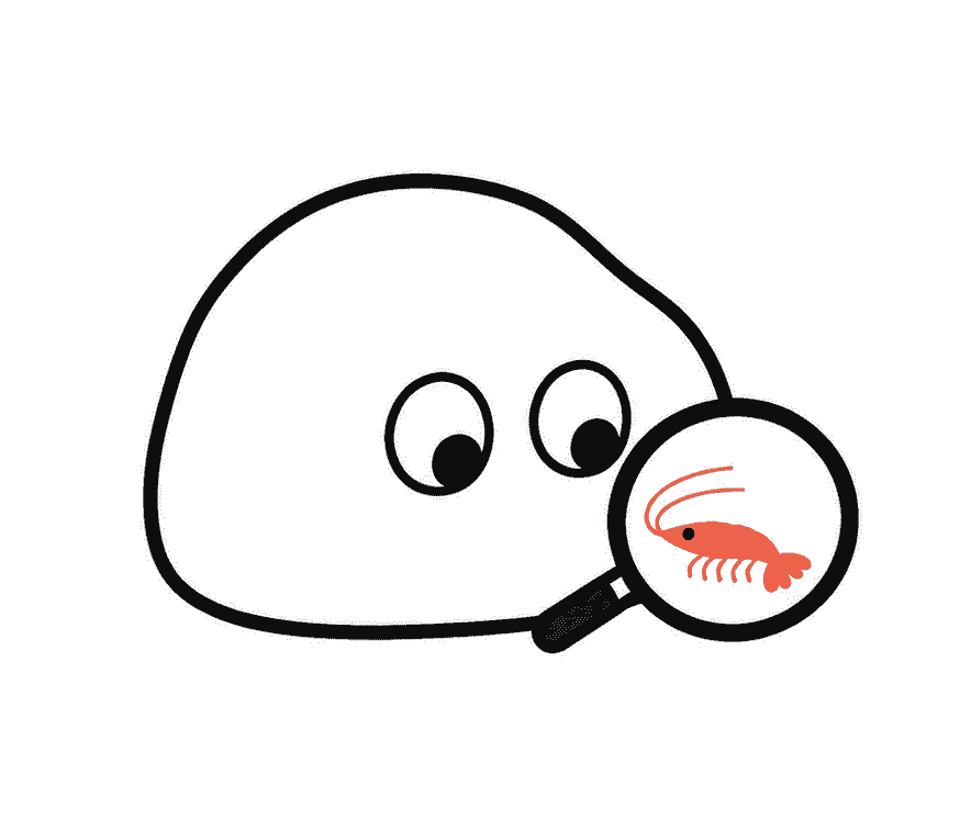 えび観察人