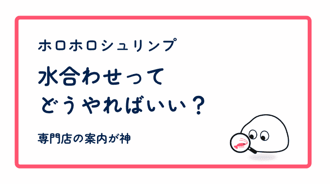 ホロホロシュリンプの水合わせってどうやるの？