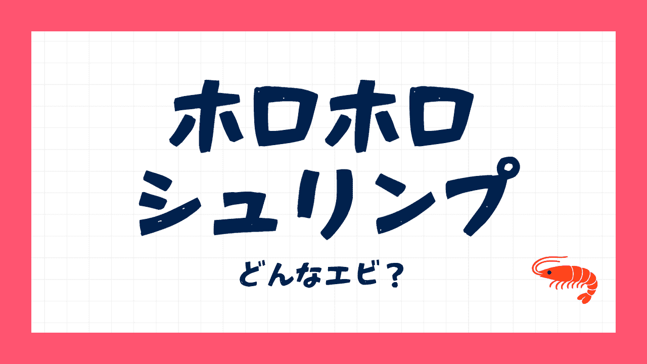 ホロホロシュリンプとは？ハワイで生きる赤くて小さいエビ
