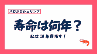 ホロホロシュリンプの寿命は何年？長生きらしいので私は10年を目指す