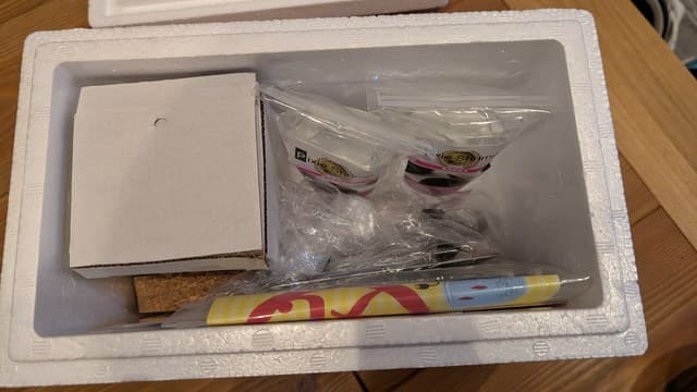 ホロホロシュリンプビン飼育セットを購入