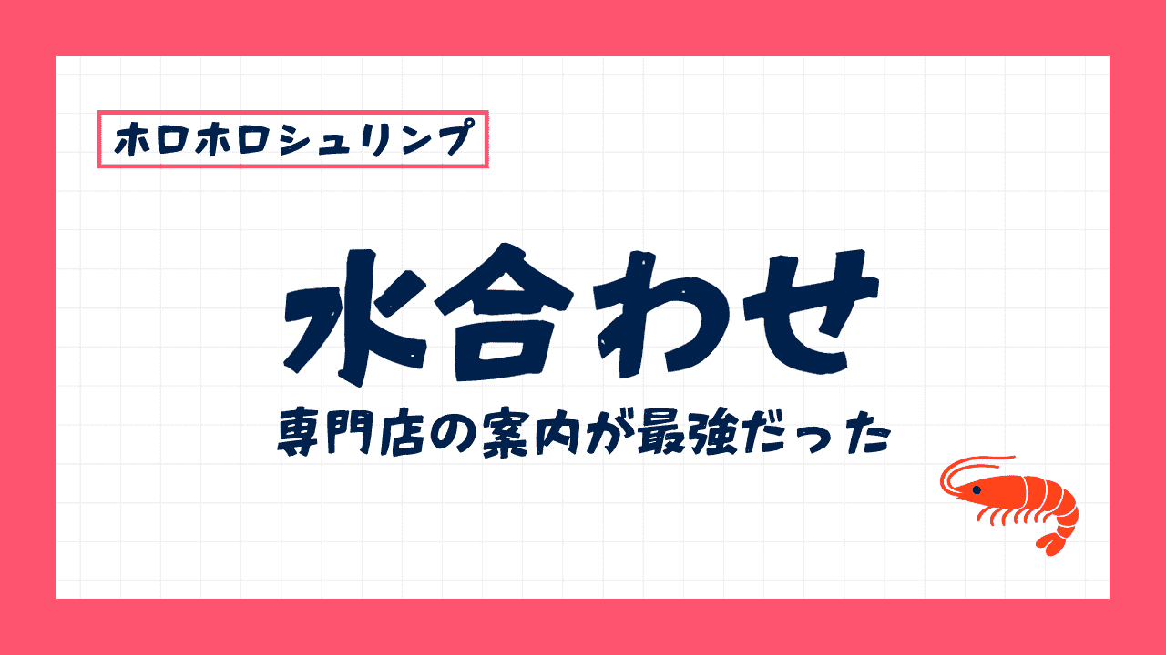 ホロホロシュリンプ水合わせ