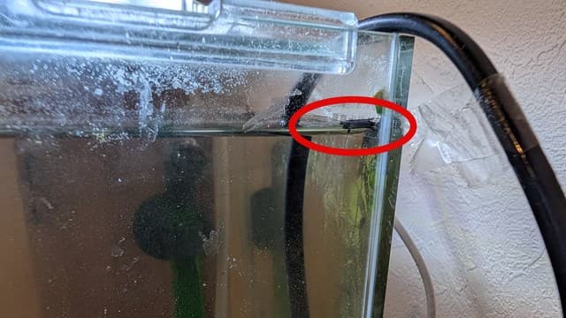 水位に印をつけているところ