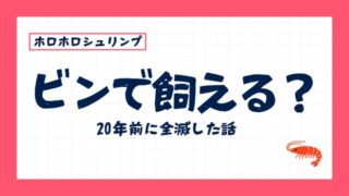 ホロホロシュリンプはビンで飼える？20年前の失敗から考えたこと